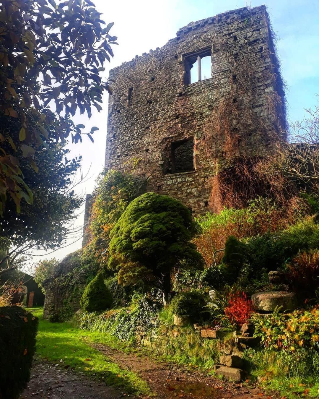 Poplars Cottage Usk Esterno foto